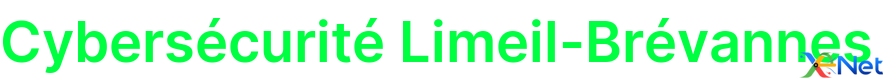 Cybersécurité Limeil-Brévannes